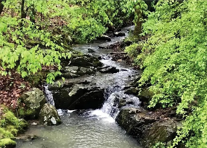 Secluded Home With Mini Waterfall And A Creek In Hot Springs