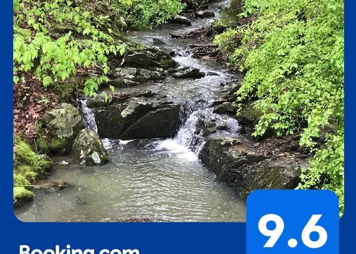 Secluded Home With Mini Waterfall And A Creek In Hot Springs
