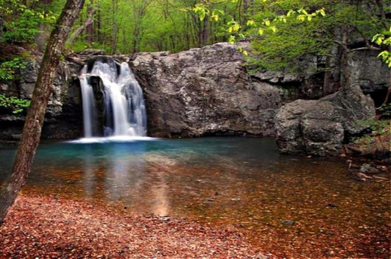 Hébergement de vacances Secluded With Mini Waterfall And A Creek In